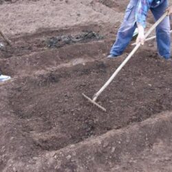 Как подготовить почву для посадки сада